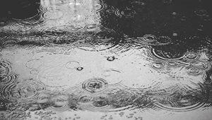 Rain drops and water on a surface