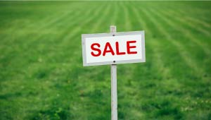 For sale sign in front of a yard with freshly cut green grass.